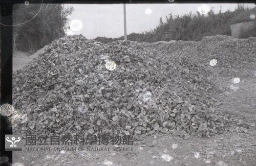1950至2006年臺灣常民生活藏品圖，第1張