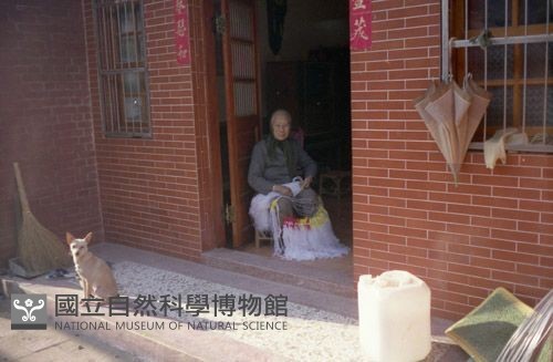 1950至2006年臺灣常民生活藏品圖，第1張