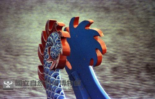 1950至2006年臺灣常民生活藏品圖，第1張