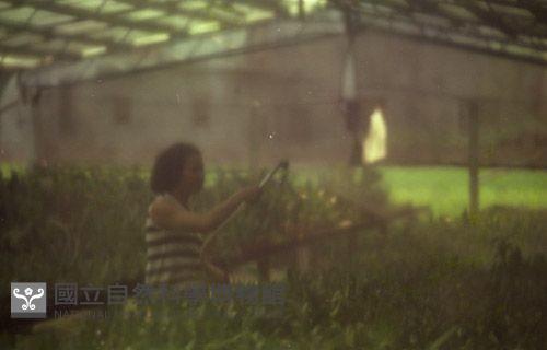 1950至2006年臺灣常民生活藏品圖，第1張