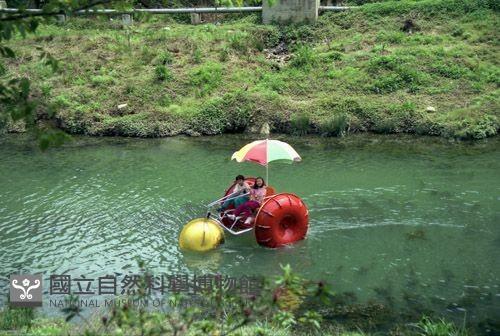 1950至2006年臺灣常民生活藏品圖，第1張