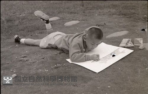 1950至2006年臺灣常民生活藏品圖，第1張