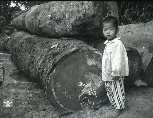 1950至2006年臺灣常民生活藏品圖，第1張