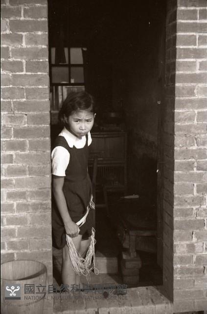 1950至2006年臺灣常民生活藏品圖，第1張