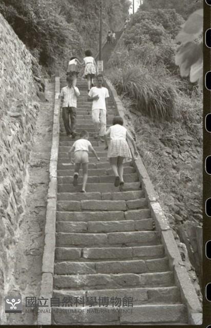 1950至2006年臺灣常民生活藏品圖，第1張