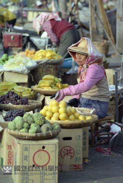 1950至2006年臺灣常民生活藏品圖，第1張