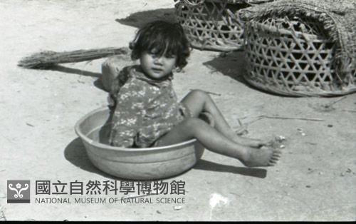 1950至2006年臺灣常民生活藏品圖，第1張