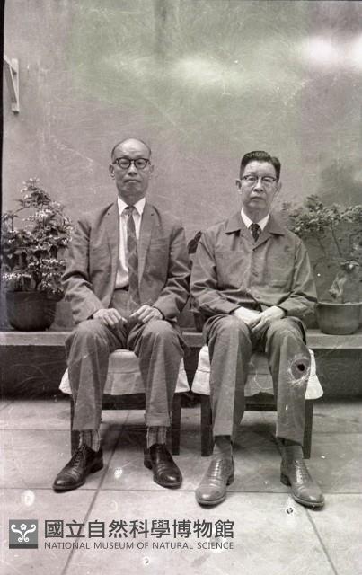 1950至2006年臺灣常民生活藏品圖，第1張