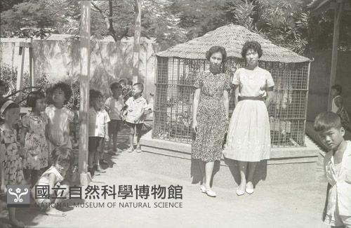 1950至2006年臺灣常民生活藏品圖，第1張