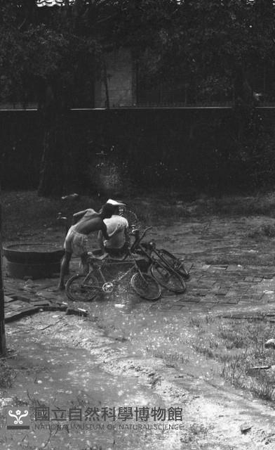 1950至2006年臺灣常民生活藏品圖，第1張