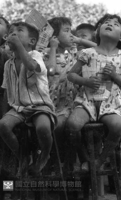 1950至2006年臺灣常民生活藏品圖，第1張