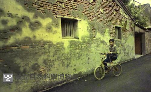 1950至2006年臺灣常民生活藏品圖，第1張