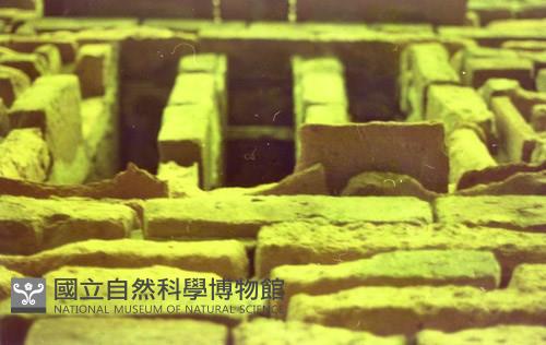 1950至2006年臺灣常民生活藏品圖，第1張