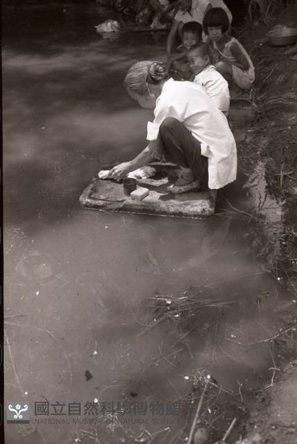 1950至2006年臺灣常民生活藏品圖，第1張