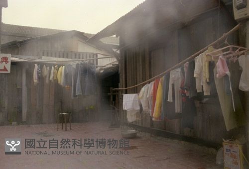 1950至2006年臺灣常民生活藏品圖，第1張