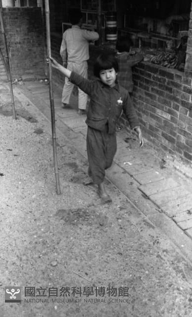 1950至2006年臺灣常民生活藏品圖，第1張