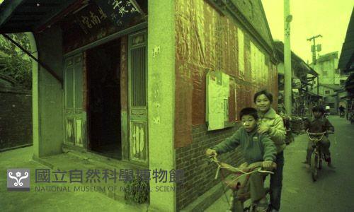 1950至2006年臺灣常民生活藏品圖，第1張
