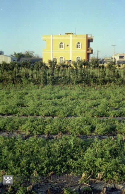 1950至2006年臺灣常民生活藏品圖，第1張