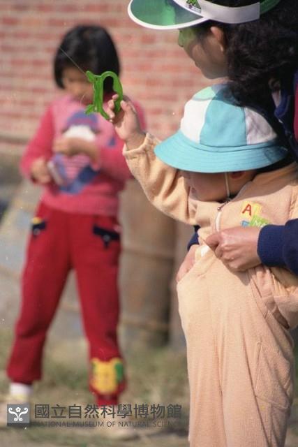 1950至2006年臺灣常民生活藏品圖，第1張