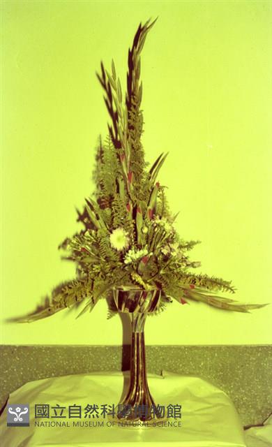1950至2006年臺灣常民生活藏品圖，第1張