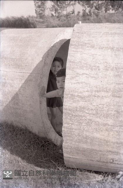 1950至2006年臺灣常民生活藏品圖，第1張