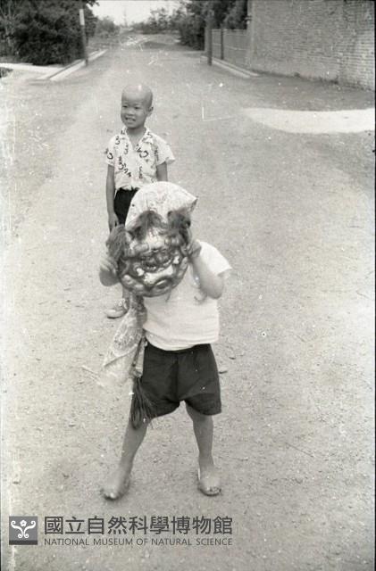 1950至2006年臺灣常民生活藏品圖，第1張