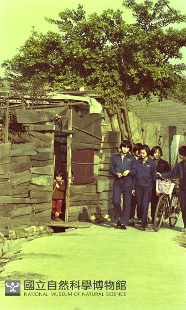 1950至2006年臺灣常民生活藏品圖，第1張