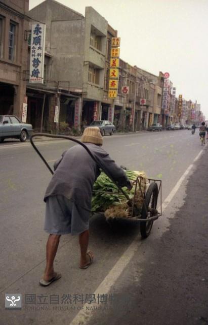 1950至2006年臺灣常民生活藏品圖，第1張