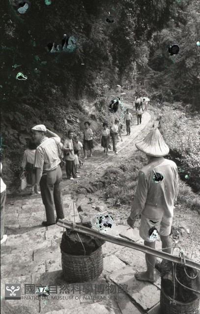 1950至2006年臺灣常民生活藏品圖，第1張