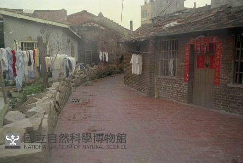 1950至2006年臺灣常民生活藏品圖，第1張