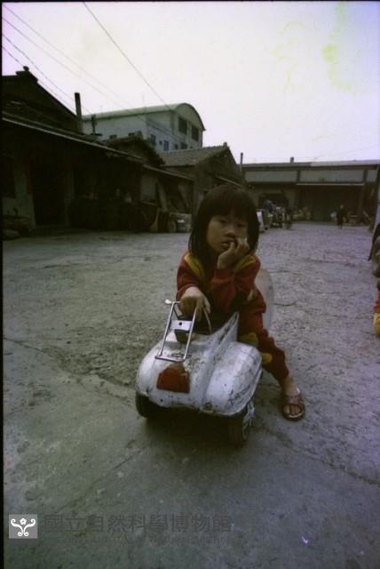 1950至2006年臺灣常民生活藏品圖，第1張