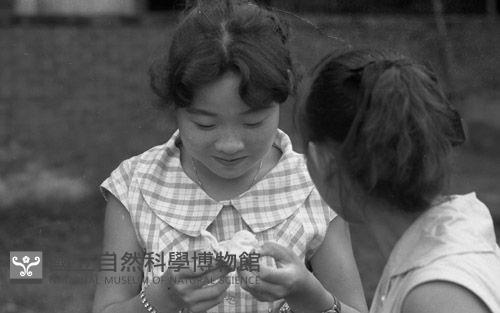 1950至2006年臺灣常民生活藏品圖，第1張