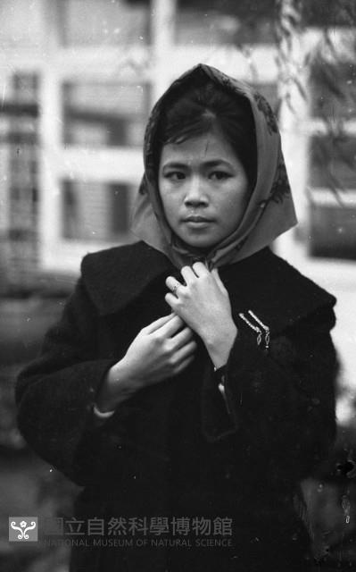 1950至2006年臺灣常民生活藏品圖，第1張