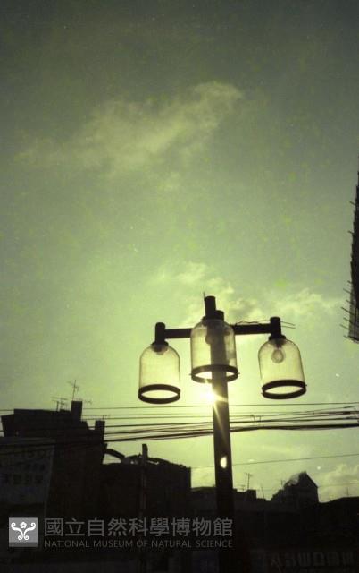 1950至2006年臺灣常民生活藏品圖，第1張