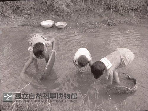 1950至2006年臺灣常民生活藏品圖，第1張