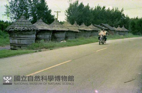 1950至2006年臺灣常民生活藏品圖，第1張