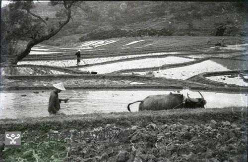 1950至2006年臺灣常民生活藏品圖，第1張