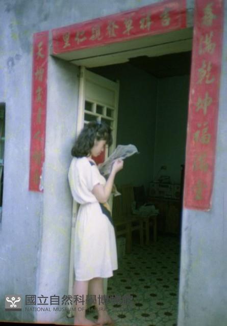 1950至2006年臺灣常民生活藏品圖，第1張