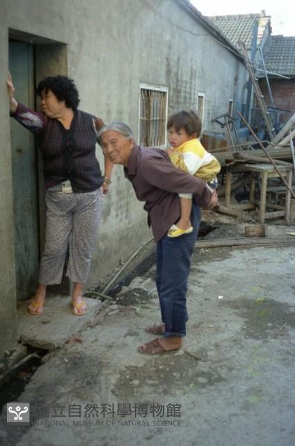 1950至2006年臺灣常民生活藏品圖，第1張