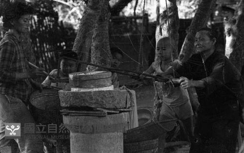 1950至2006年臺灣常民生活藏品圖，第1張