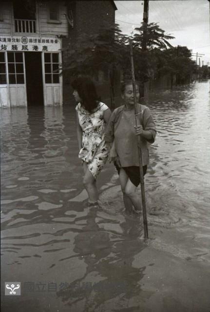 1950至2006年臺灣常民生活藏品圖，第1張