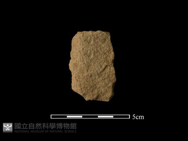 斧鋤形器藏品圖，第2張