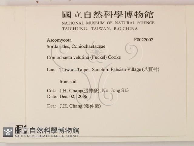 登錄號:F0022002藏品圖，第2張