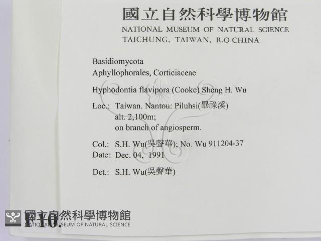 登錄號:F0010302藏品圖，第2張