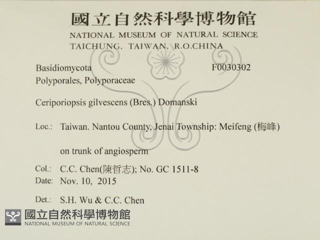 登錄號:F0030302藏品圖，第2張