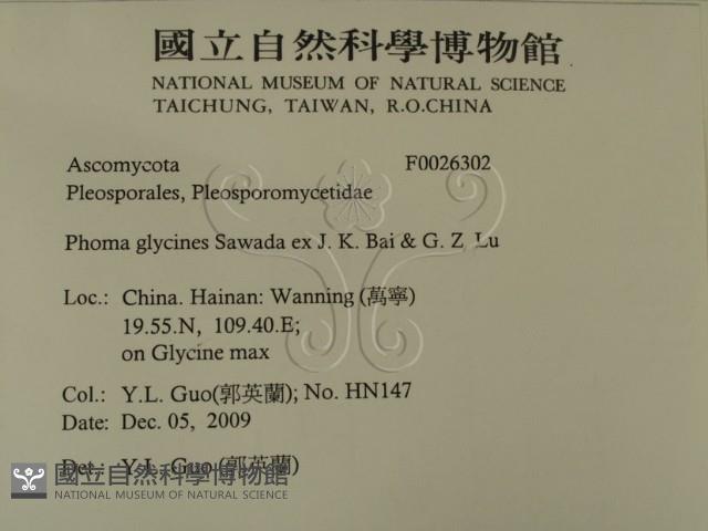 登錄號:F0026302藏品圖，第2張