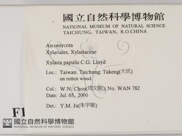 登錄號:F0011302藏品圖，第2張