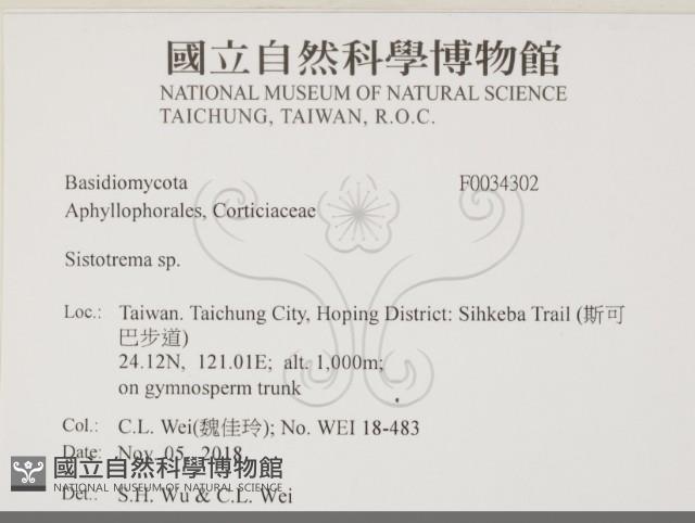 登錄號:F0034302藏品圖，第2張