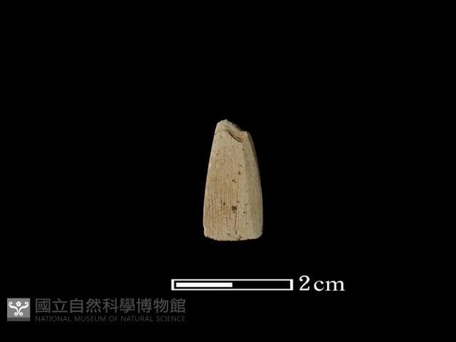 矛鏃形器藏品圖，第2張