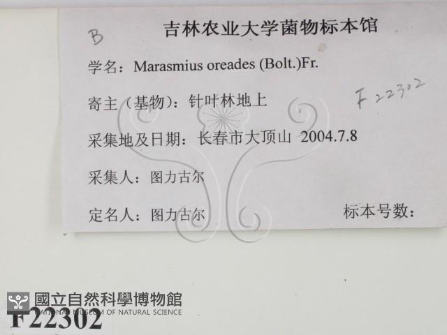 登錄號:F0022302藏品圖，第2張